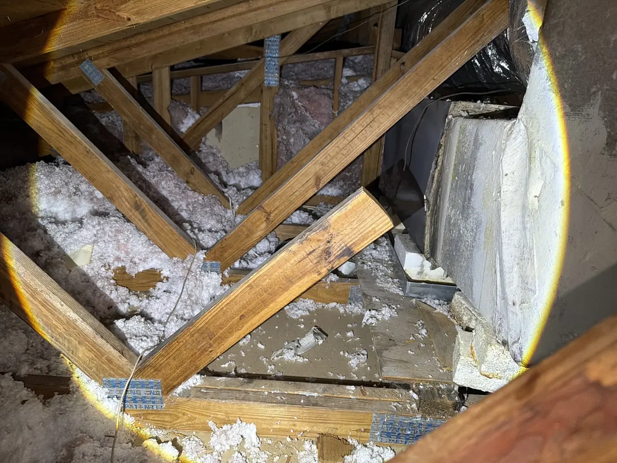 Attic trusses and blown-in insulation inspected during a Southwest Florida home inspection